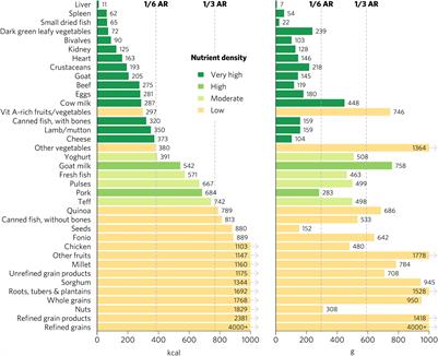 Priority Micronutrient Density in Foods